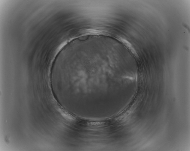 X0000097461427200803141841