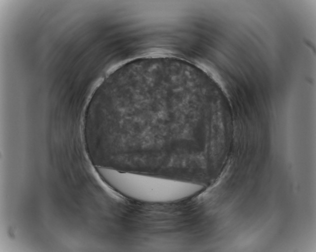 X0000097461429200803141841