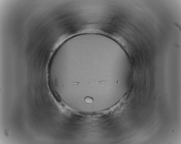 X0000097461430200803141841