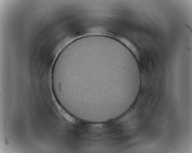 X0000097461431200803141841