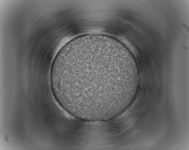 X0000097461432200803141841