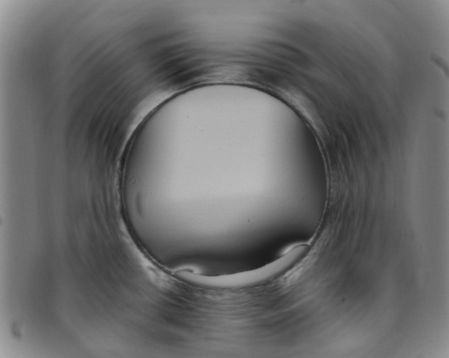 X0000097461434200803141841