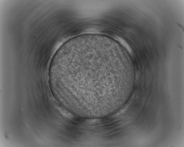 X0000097461435200803141842