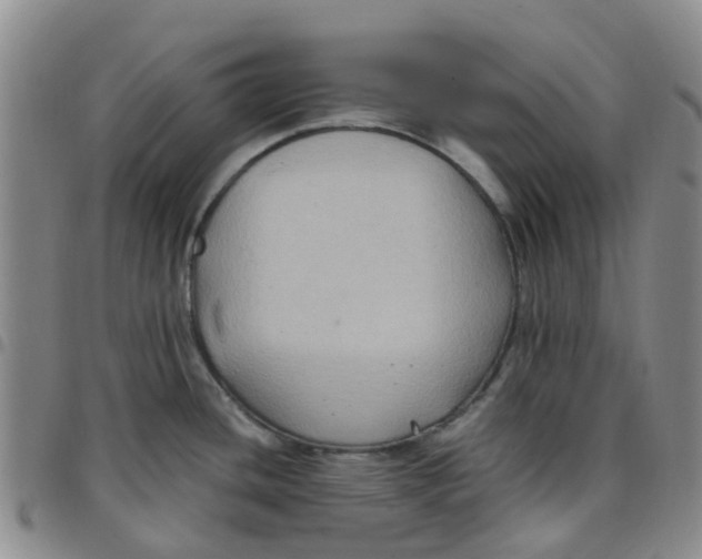 X0000097461436200803141842