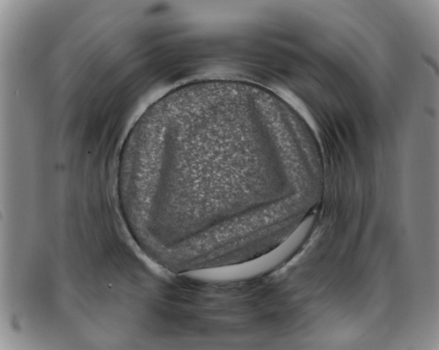 X0000097461437200803141842