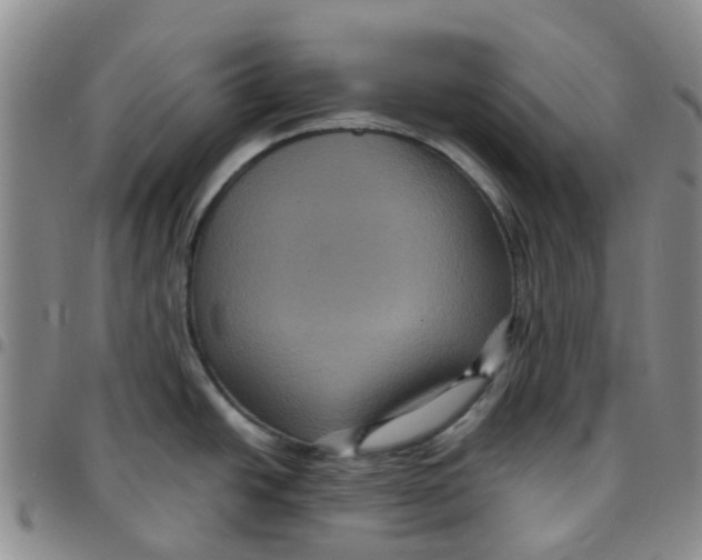 X0000097461438200803141842