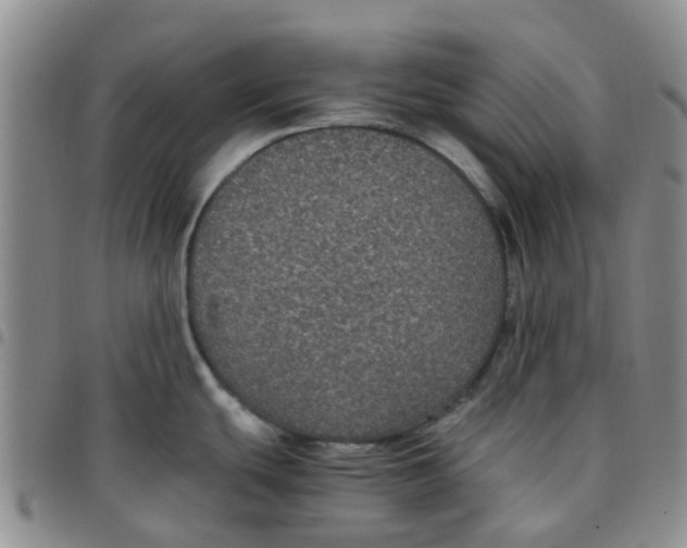 X0000097461439200803141842