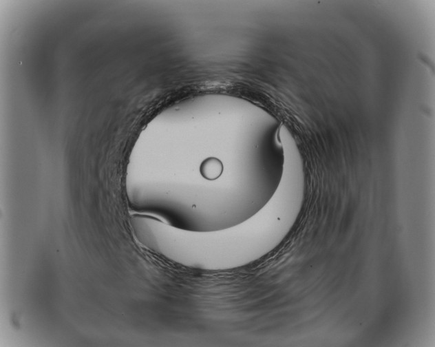 X0000097461441200803141841