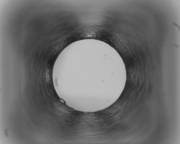 X0000097461442200803141841