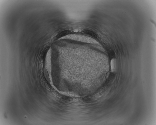 X0000097461443200803141841