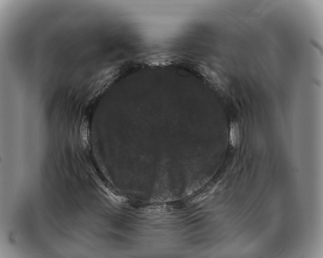 X0000097461444200803141841