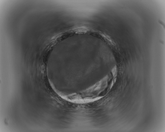 X0000097461445200803141841