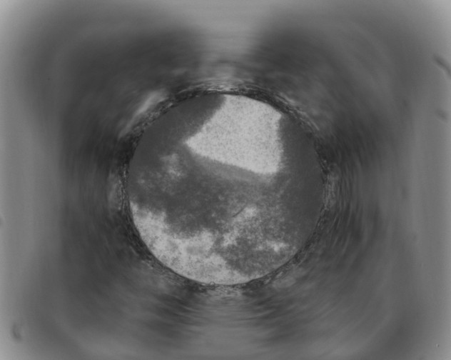 X0000097461446200803141841