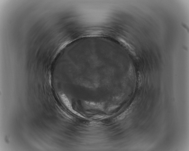 X0000097461449200803141841