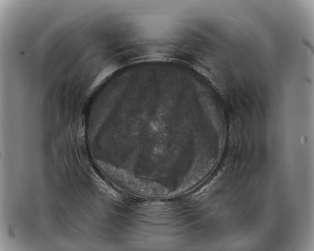 X0000097461450200803141841