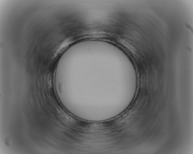 X0000097461451200803141841