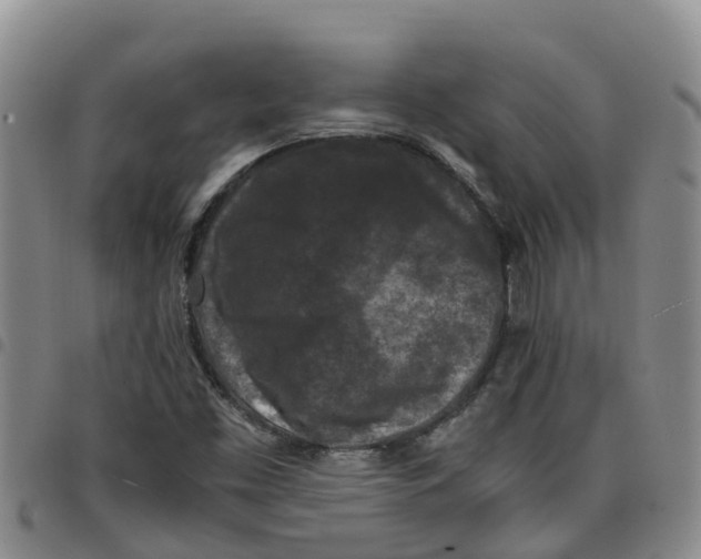 X0000097461453200803141841