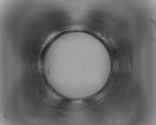 X0000097461454200803141841