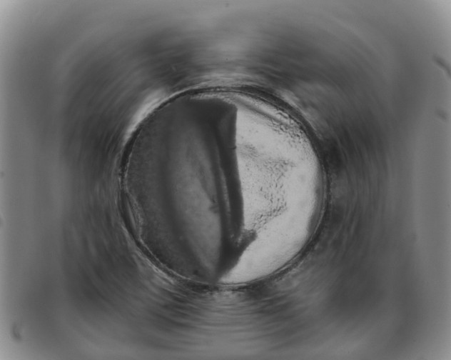 X0000097461459200803141841