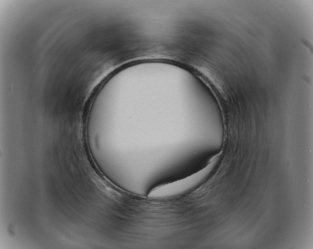 X0000097461460200803141840