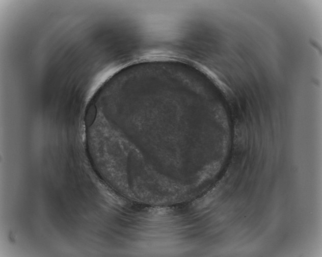 X0000097461461200803141840