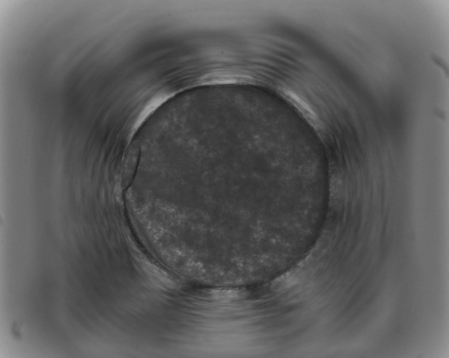 X0000097461465200803141840