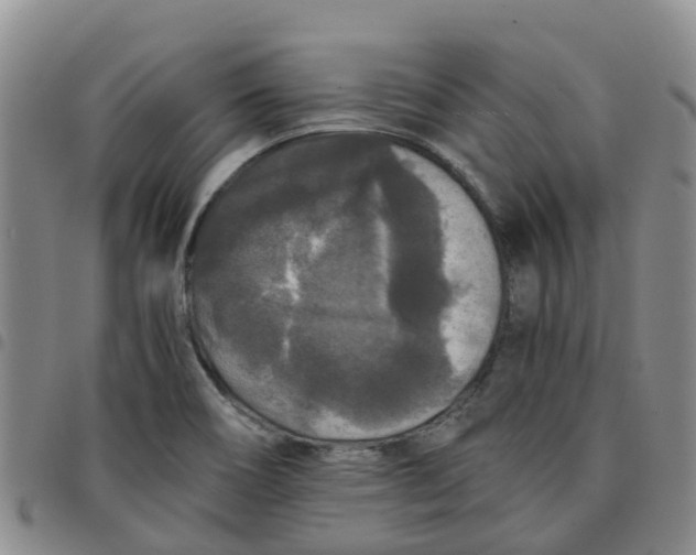 X0000097461466200803141840