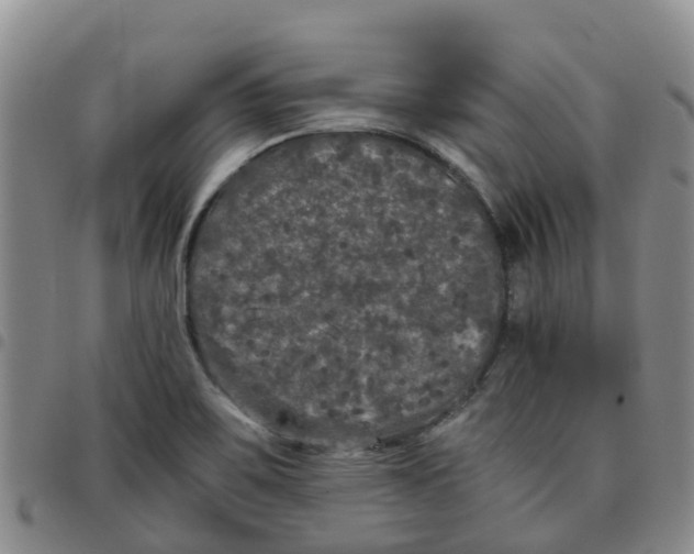 X0000097461467200803141840