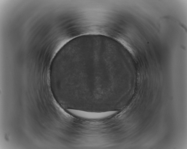 X0000097461468200803141840