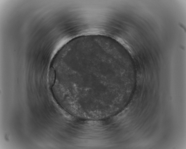 X0000097461469200803141840