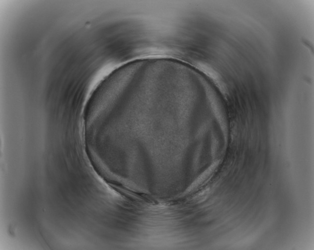 X0000097461472200803141840