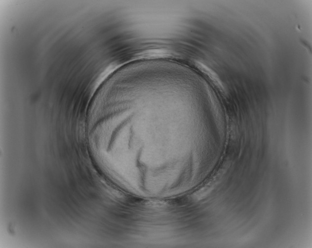 X0000097461473200803141840