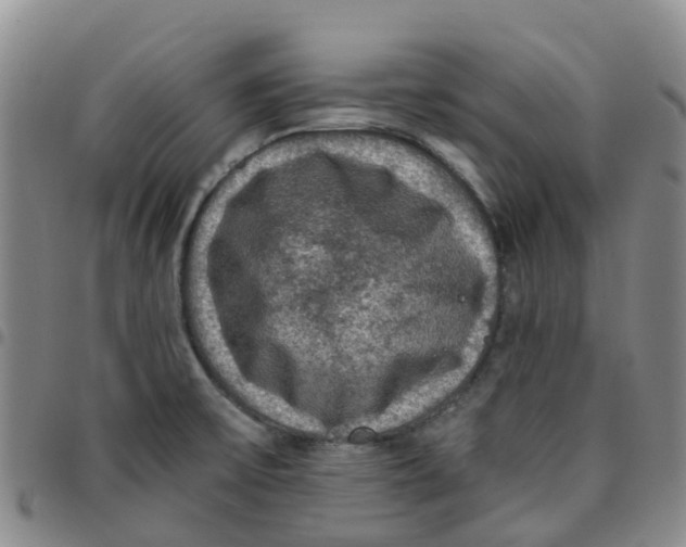 X0000097461475200803141840