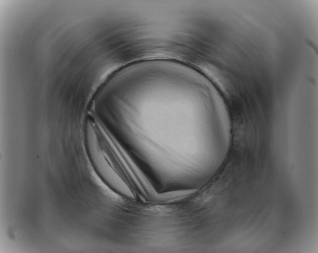 X0000097461476200803141840