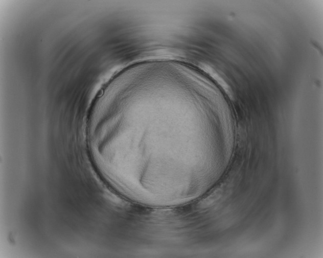 X0000097461477200803141840