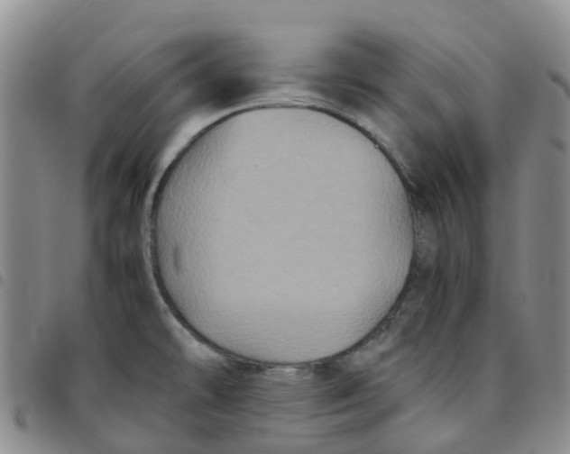 X0000097461478200803141840