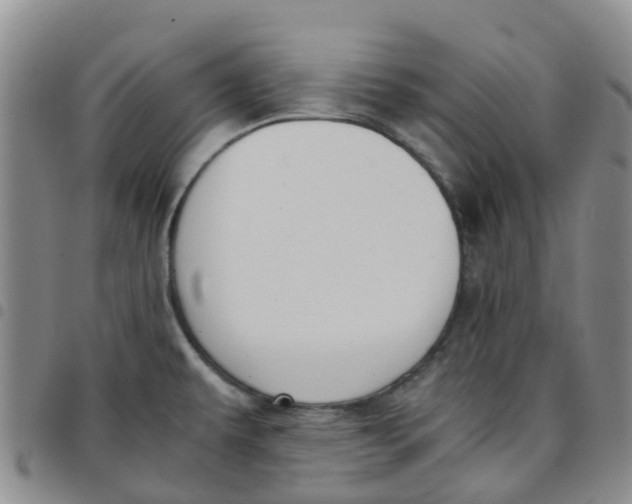 X0000097461479200803141840