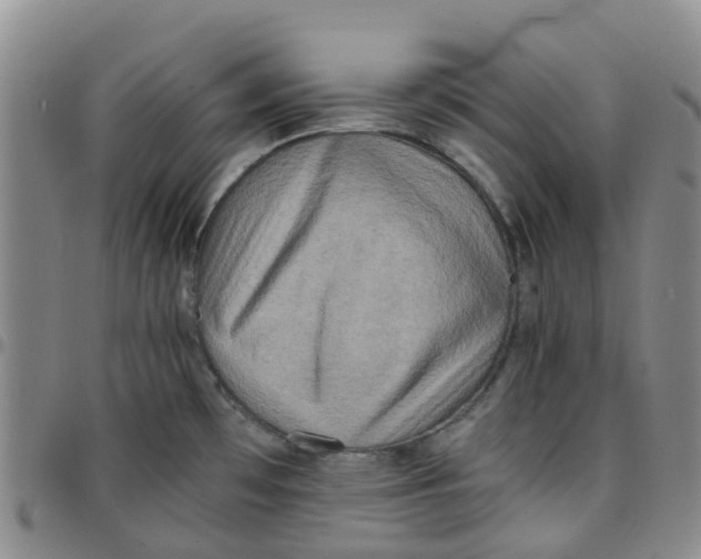 X0000097461481200803141840