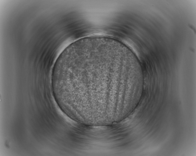 X0000097461483200803141840