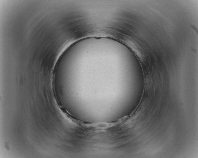 X0000097461484200803141840