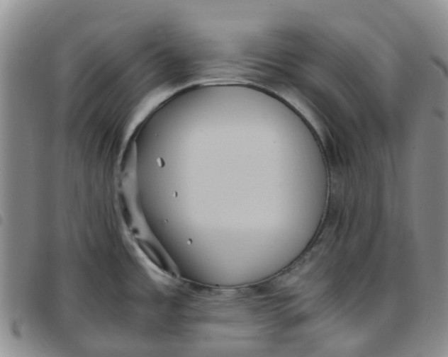 X0000097461485200803141840