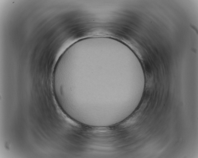 X0000097461486200803141840