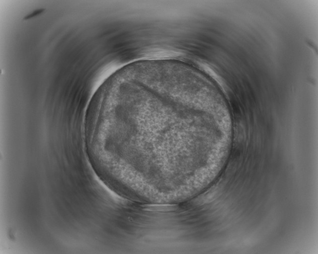 X0000097461487200803141840