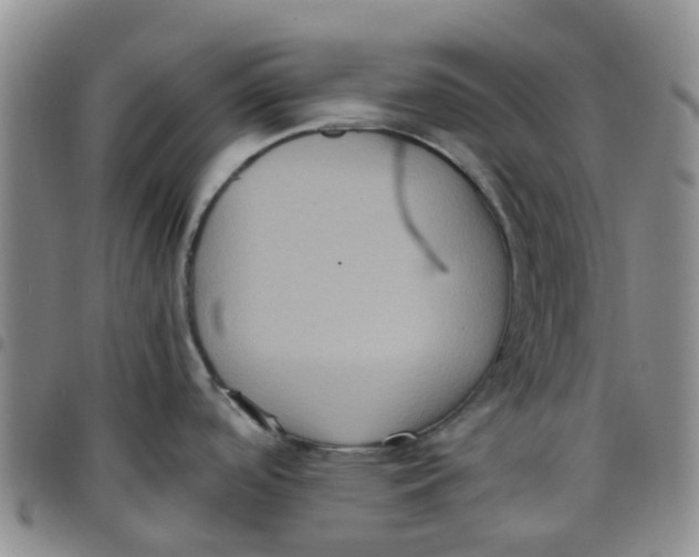 X0000097461488200803141840