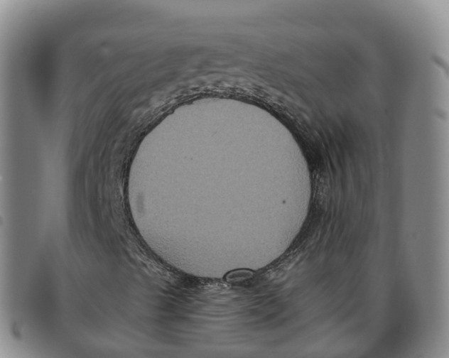 X0000097461489200803141839