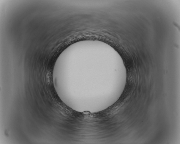 X0000097461490200803141839