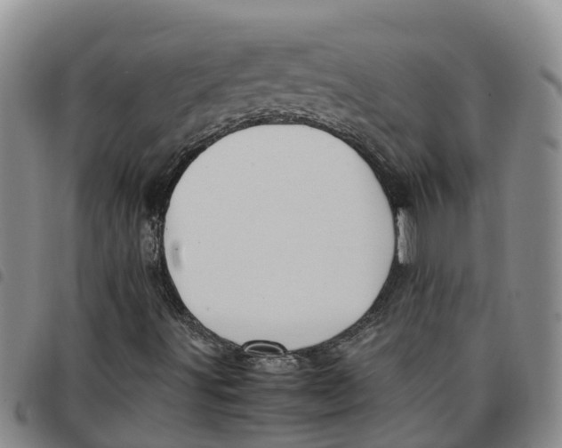 X0000097461491200803141839