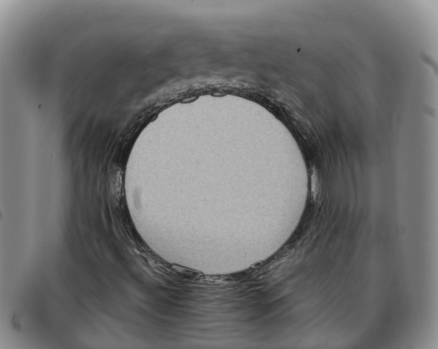 X0000097461492200803141840