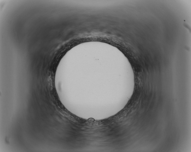 X0000097461493200803141840