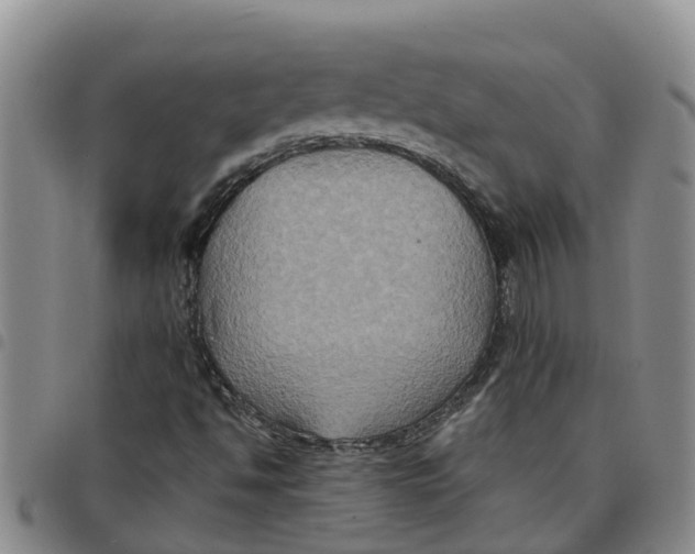 X0000097461494200803141840